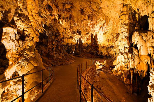 Postojna Cave (Slovenia)