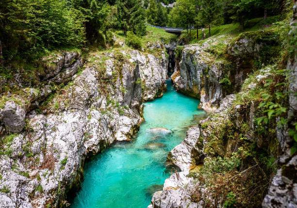 Velika Korita or Great canyon of Soca river, Bovec, Slovenia. Beautiful vivid turquoise river stream rapids, running through canyon surrounded by forest. Soca river, Triglav National Park, Julian Alps, Slovenia, Europe.