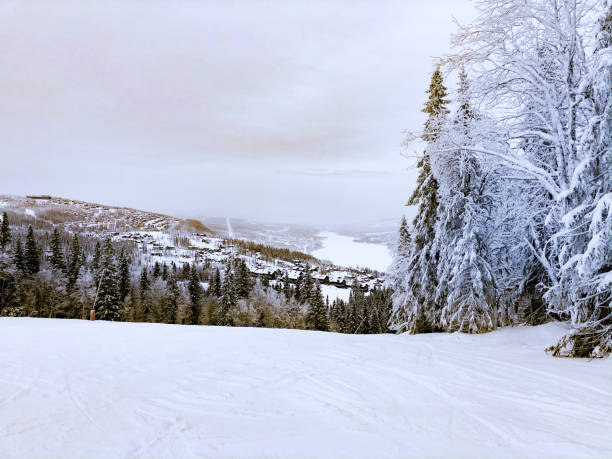 View from top of ski slope over ski resort Åre